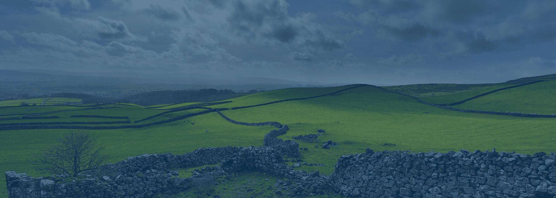 Teaching Jobs in South Yorkshire